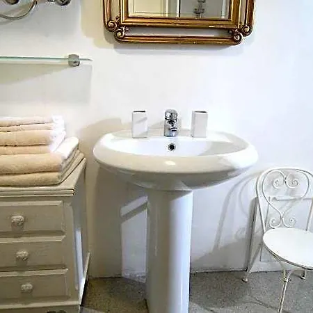 Peonia Bianca 3*